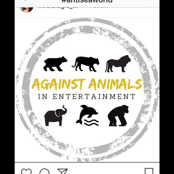 Bundle discount available! Say NO to SeaWorld! - Picture 8 of 8